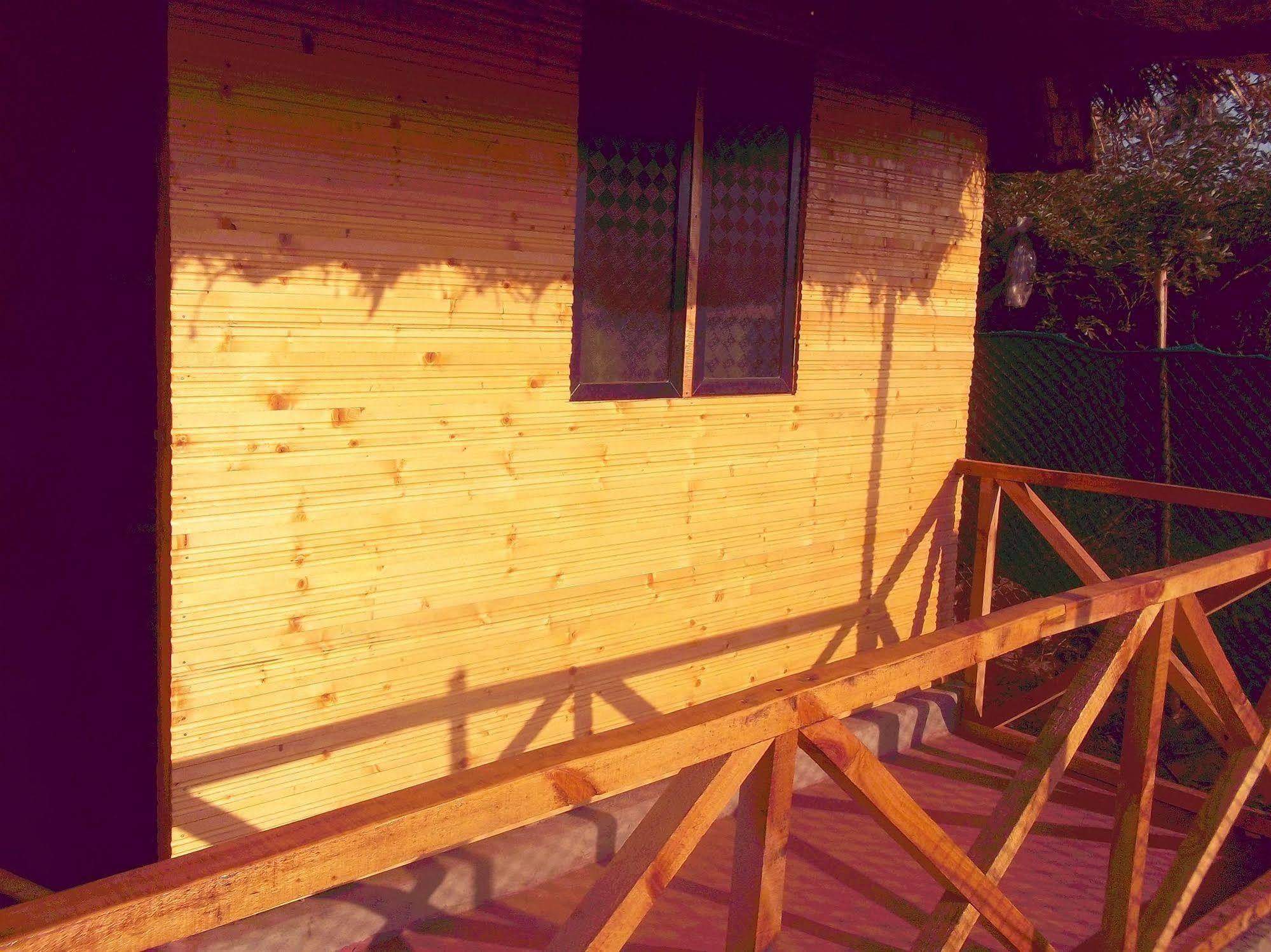Tivai Beach Cottages Calangute Dış mekan fotoğraf